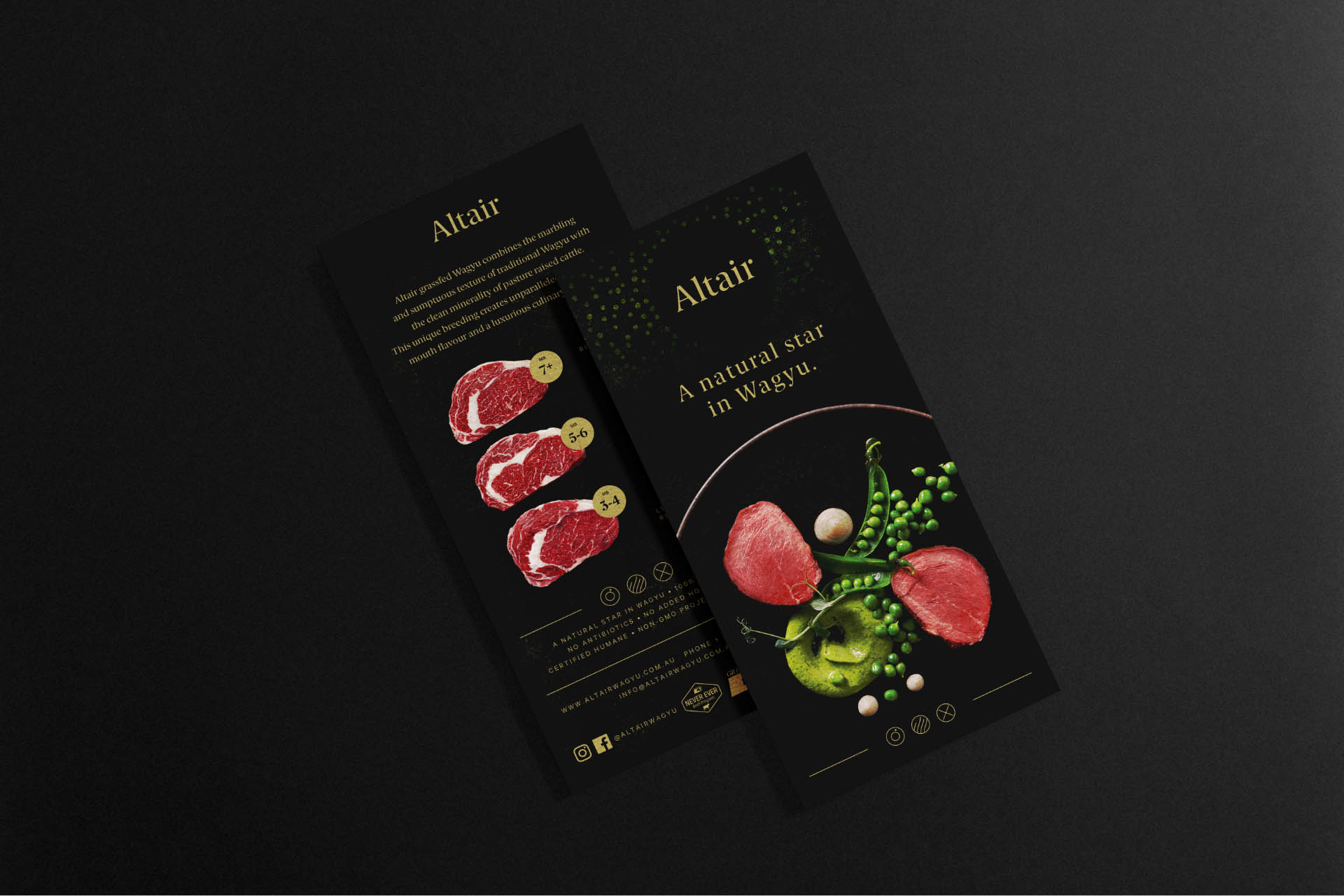 Altair printed DL flyer. Image shows both front and back sides.