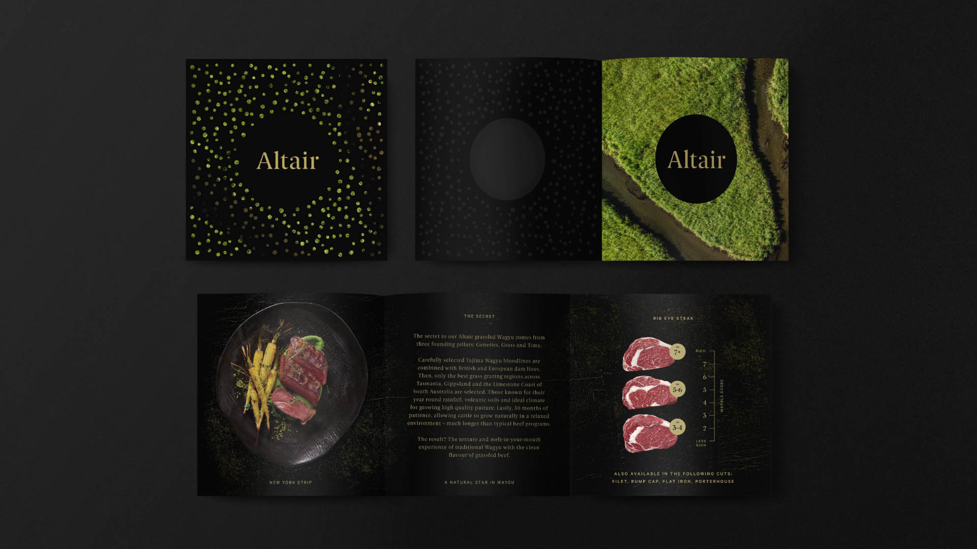 Three images of Altair's printed brochure, its front cover, and inside spreads.