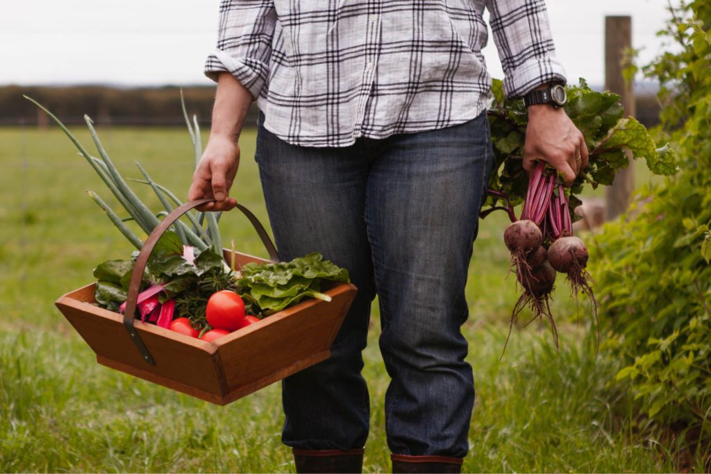Person holding a wooden casket carrying produce from the garden.